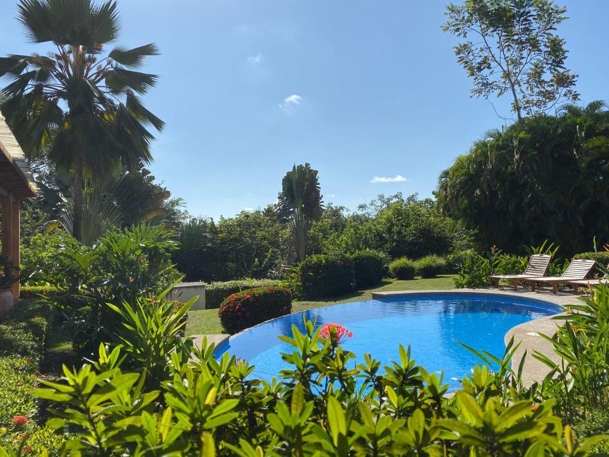 Palm Coast Luxury Rentals Esterillos Este Luaran gambar